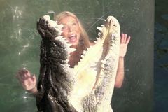 VIDEO Extrémní atrakce s krokodýly: Plavat, krmit i pochovat