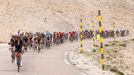 11. etapa Tour de France 2021: Peloton šplhá na Mont Ventoux.