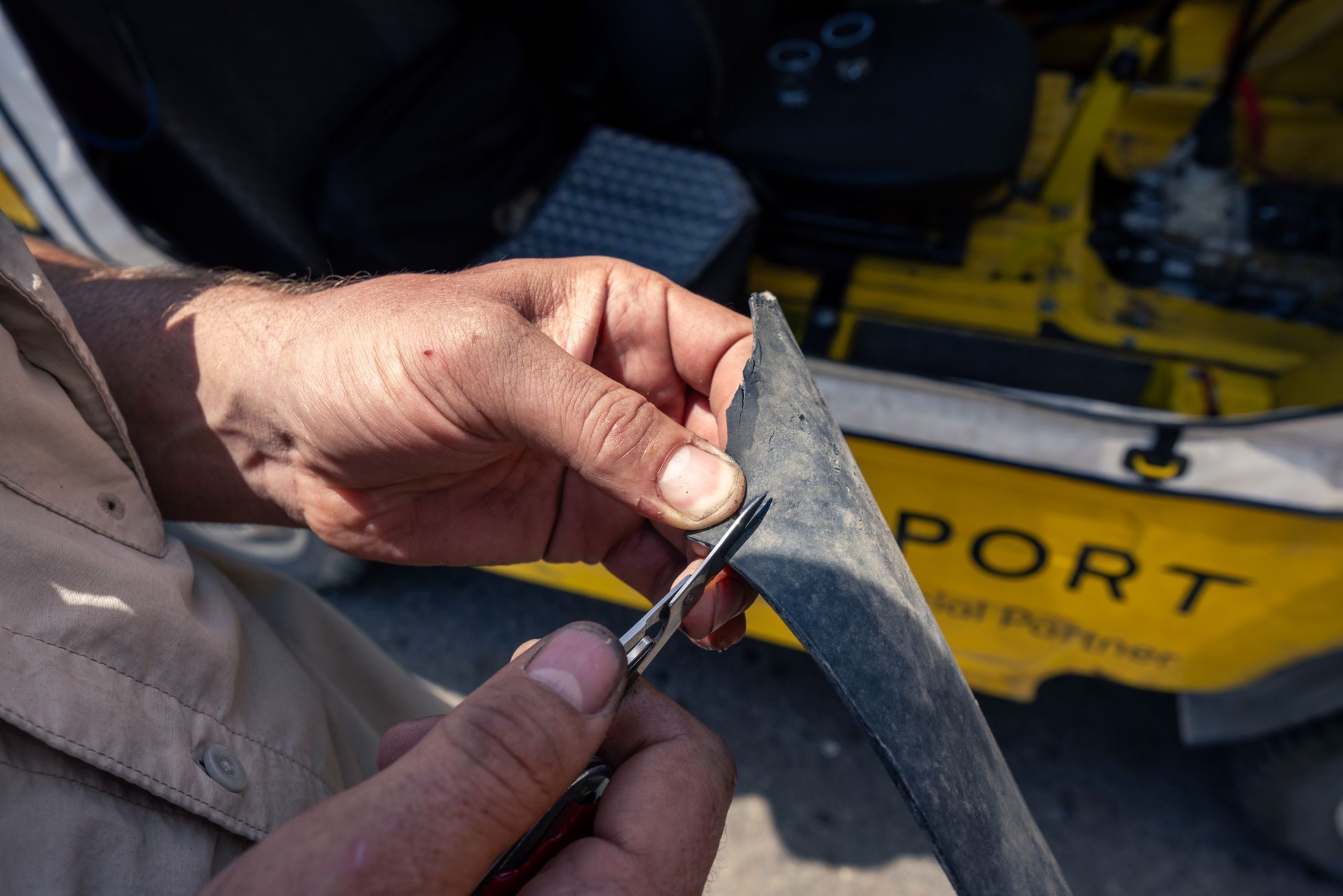 žlutá žába irán O7