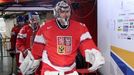 Hokej, MS 2013, Česko - Dánsko: Ondřej Pavelec