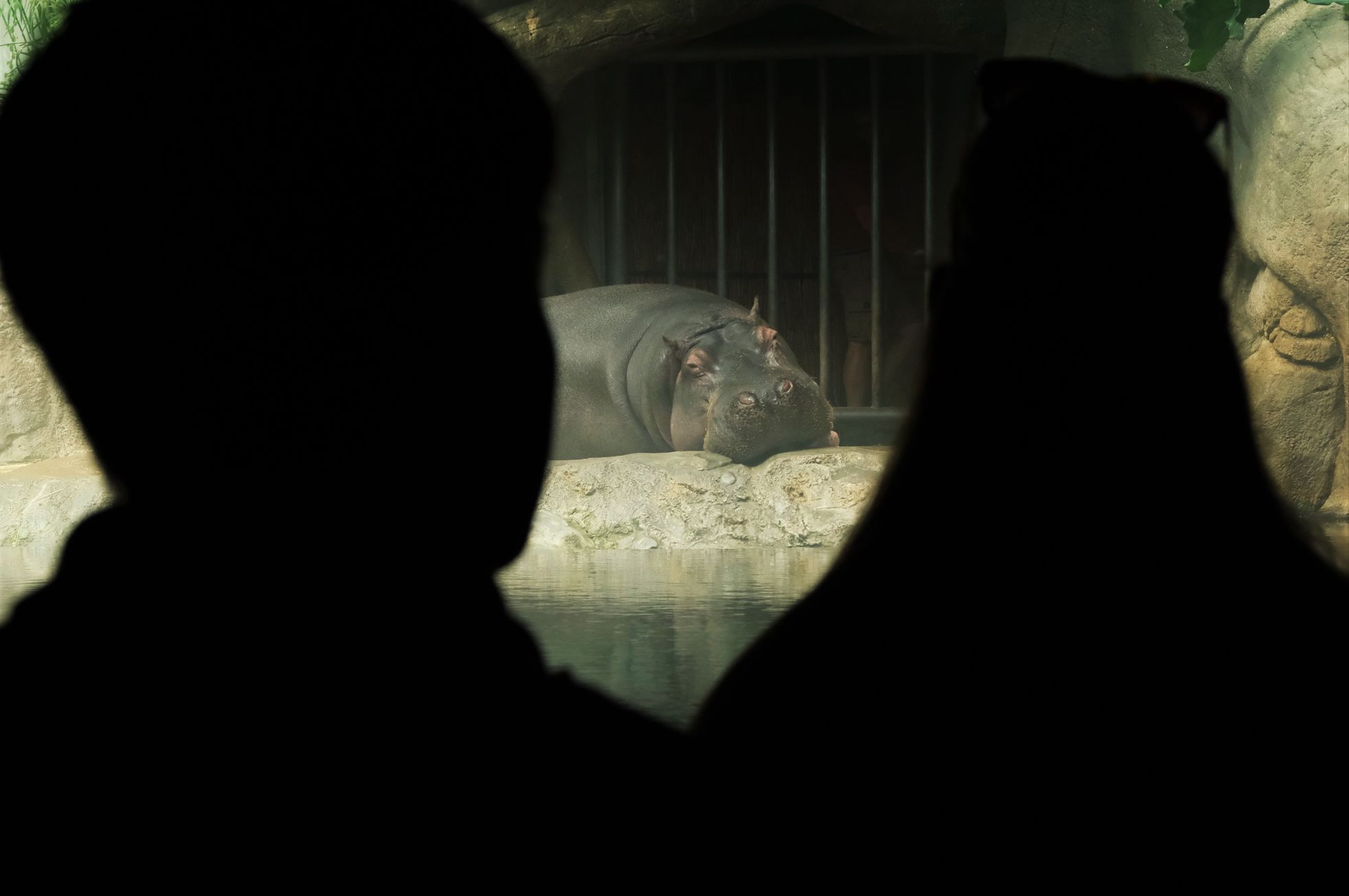 ZOO zahájení sezóny