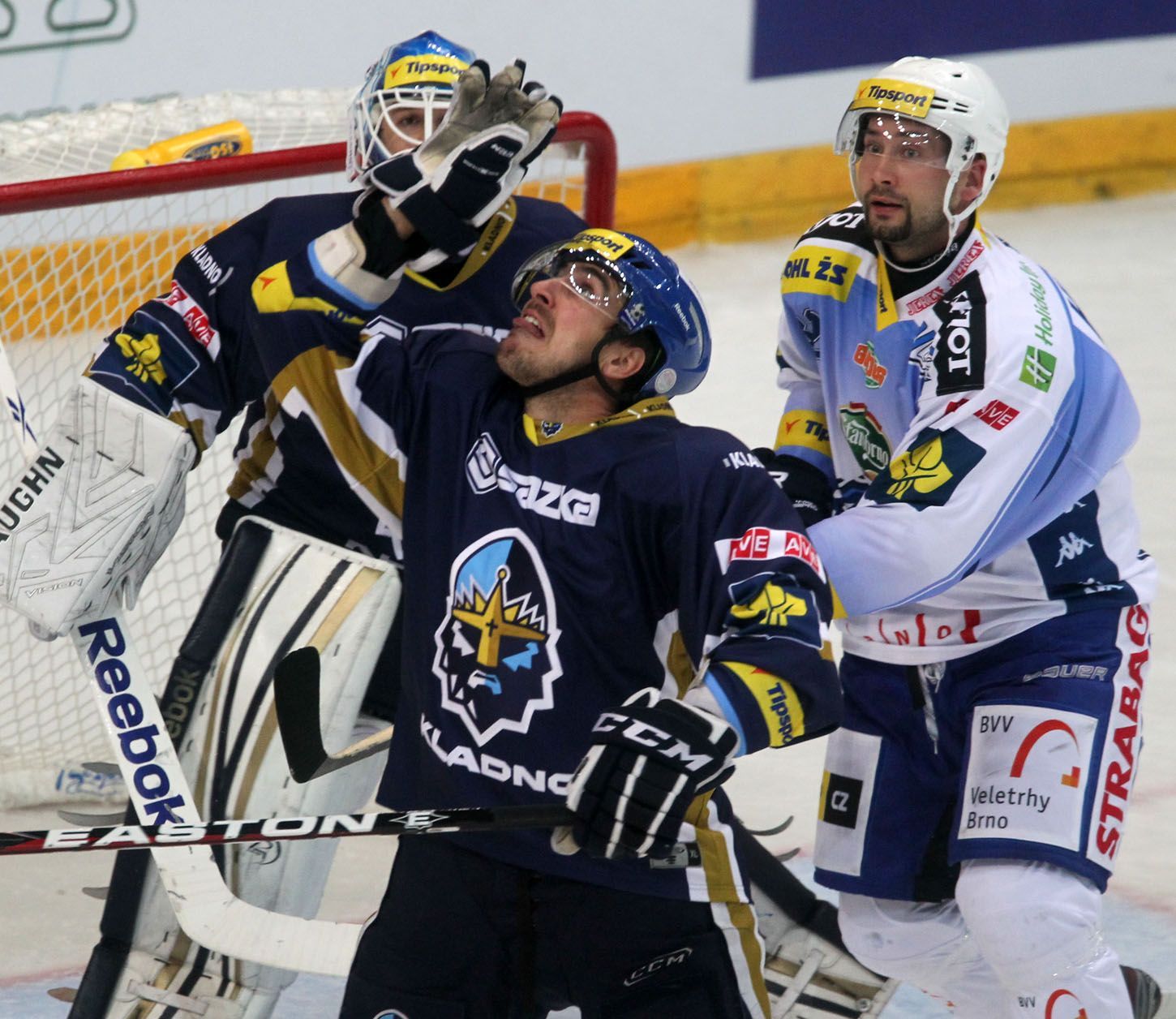 Hokejisté Komety Brno v utkání proti Kladnu během 15. kola Tipsport extraligy 2012/13.