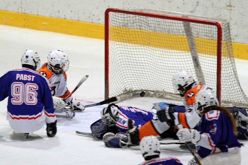 Sledge hokej: Draci Kolín vs. Lapp Zlín