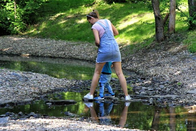 Revitalizace drobného vodního toku - náhonu - v parku Střelnice.