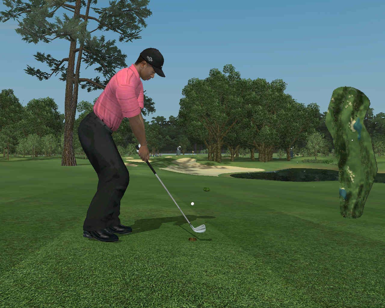 Tiger Woods PGA Tour 07