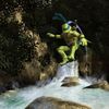 Teenage Mutant Ninja Turtles