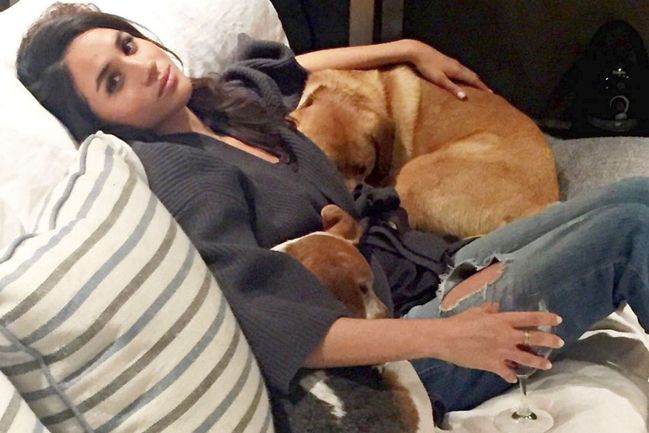 Meghan adoptovala psy díky Ellen DeGeneresové