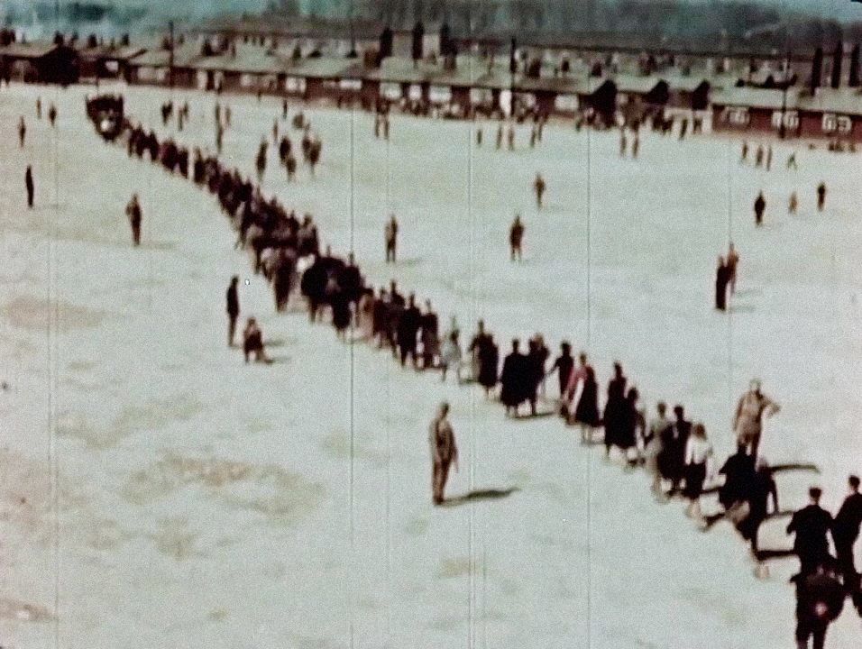 Jednorázové užití / Fotogalerie / Osvobození koncentračního tábora Buchenvald / U.S. Department of Defense