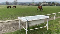 Dlouho zavřený hřebčín Napajedla a jeho poslední koně na pastvinách (2. 4. 2025)