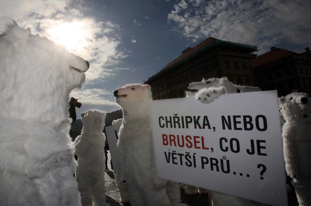 Demonstrace ledních medvědů