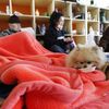Japonsko po katastrofě - čtvrtek - evakuační centrum