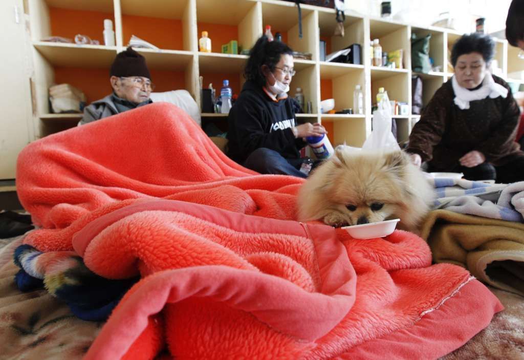 Japonsko po katastrofě - čtvrtek - evakuační centrum