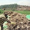 Jednorázové užití / Fotogalerie / 25 let od genocidy ve Rwandě / ČTK