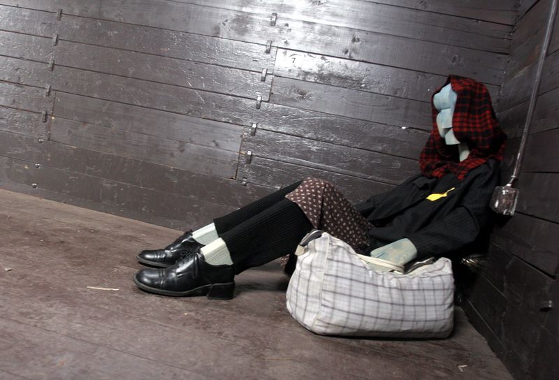 Holocaust: projekt vagón