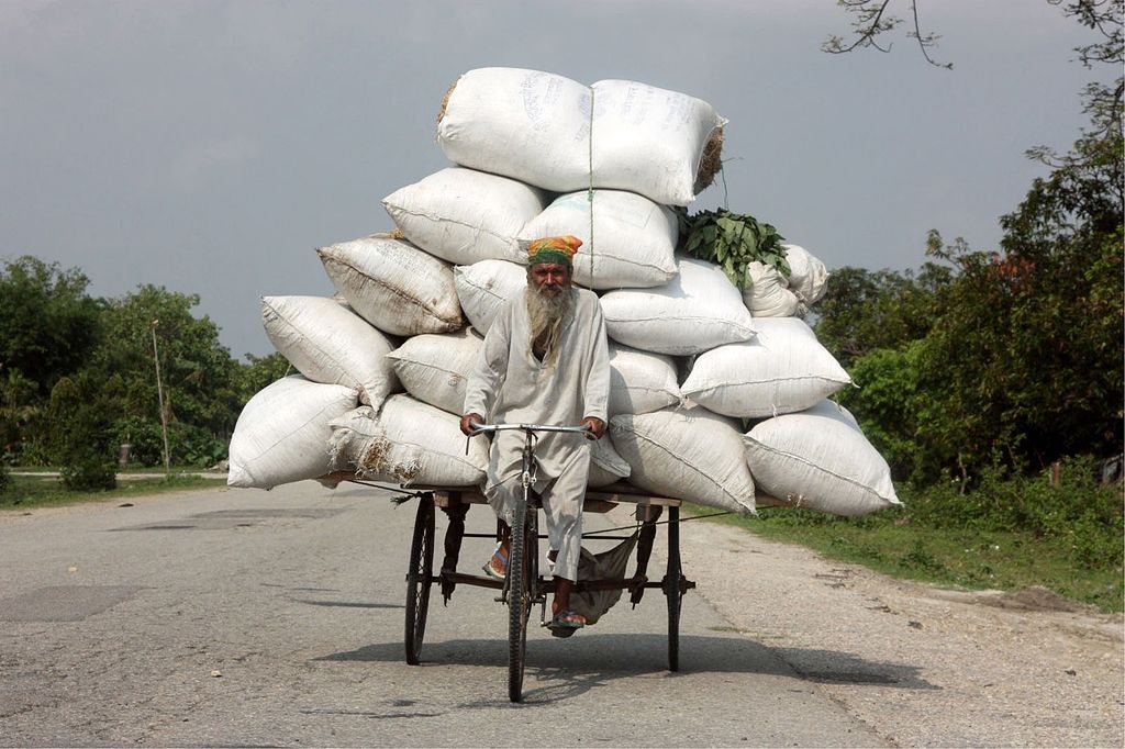 Ne pro články! Fotogalerie: Přetížení navzdory. Tak se v dopravě riskuje s nadměrným nákladem. / Nepál