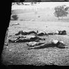 Fotogalerie / Bitva u Gettysburgu / Library of Congress / 13