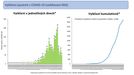 Počet vyléčených pacientů z nemoci covid-19 v průběhu času.