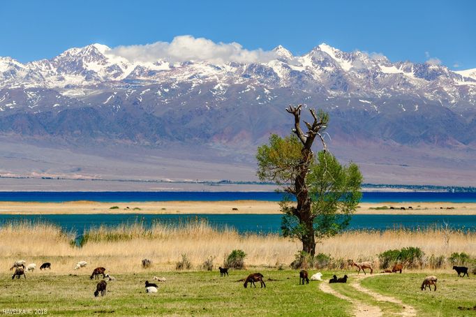 Miroslav Havelka: Kazachstán a Kyrgyzstán na fotografiích