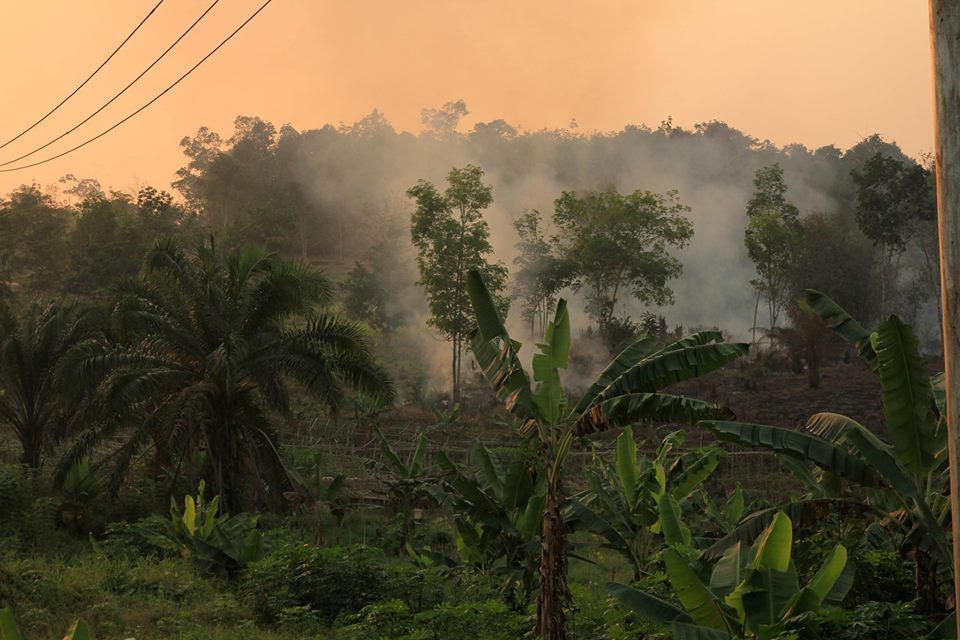 Indonésie požáry