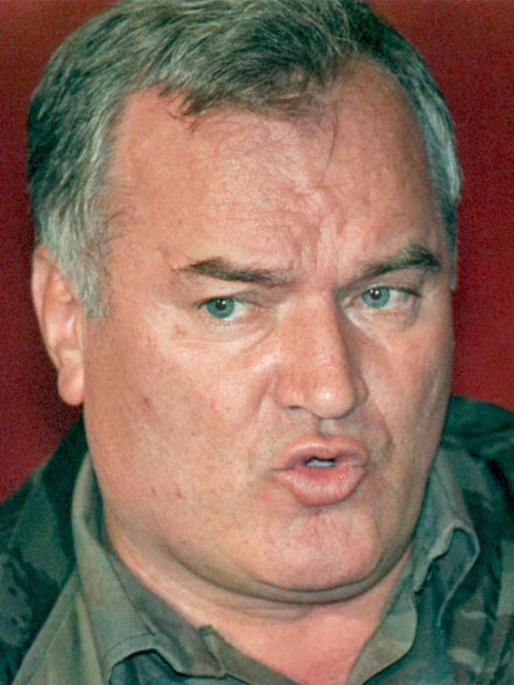 Ratko Mladič - 1995