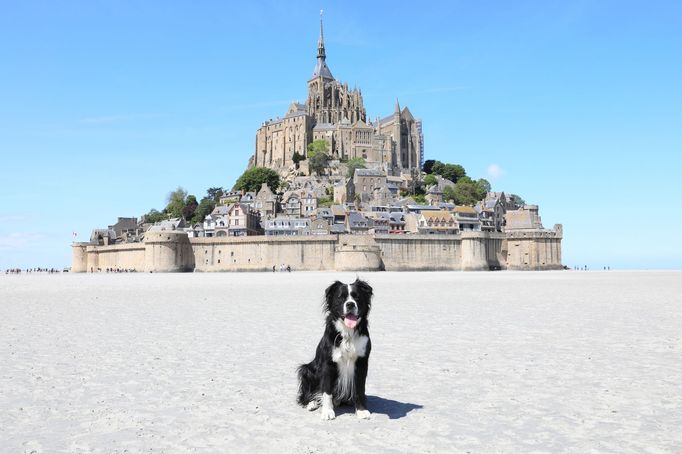 Klášter Mont-Saint-Michel ve francouzské Normandii byl postaven před 1000 lety.