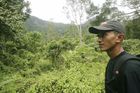 Bojovali v Acehu s vládou, dnes vodí džunglí turisty