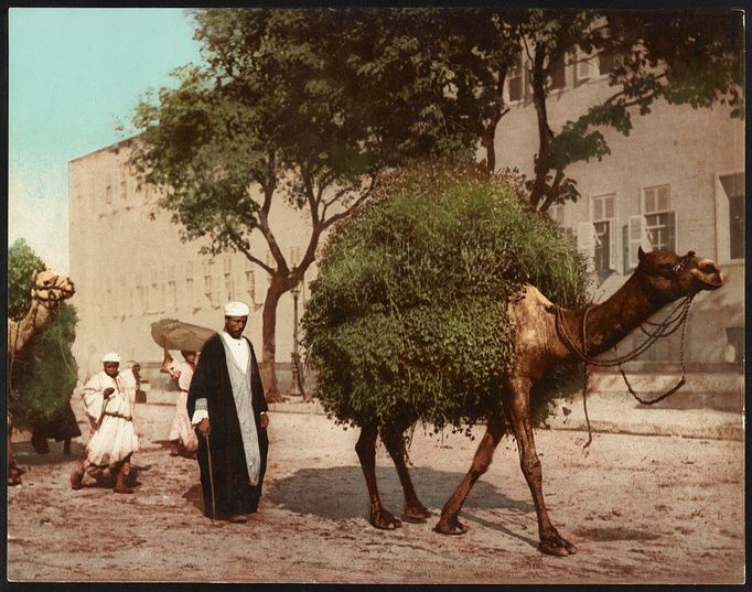 Egypt 1898 - 1905 na fotkách. Z kolekce fotochromových tisků Library of Congress