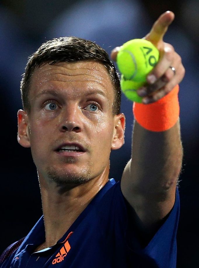 Tomáš Berdych 2017