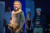 Když Ötzi zemřel, bylo mu asi 46 let. Na svou dobu (zhruba 3300 let před naším letopočtem) se dožil poměrně vysokého věku. Měřil asi 160 centimetrů a vážil okolo 50 kilogramů. Zranil ho šíp a ve výšce 3210 metrů nad mořem v zimě vykrvácel.