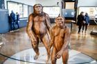 Homo erectus byl zcestovalý námořník, který uměl mluvit. Nešlo o hloupou opici, tvrdí americký vědec