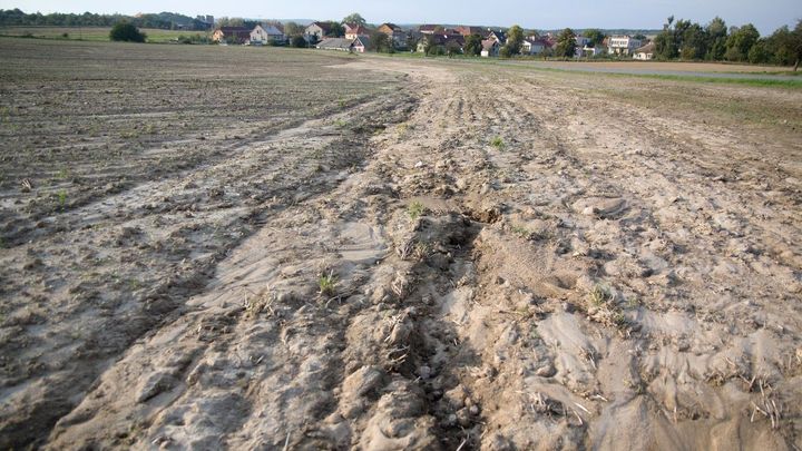 Deště ukončily sucho jen na povrchu, hlouběji do půdy se voda skoro nedostala