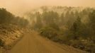 Smoke from wildfires fills the air along a road in the Gila National Forest, New Mexico, in this handout photo made available on June 4, 2012. Firefighters battling New Mexico's largest-ever blaze gained ground on Sunday and officials said they would begin to allow evacuated residents to return home on Monday. REUTERS/Kari Greer/InciWeb/United States Forest Service/Handout (UNITED STATES - Tags: ENVIRONMENT DISASTER) FOR EDITORIAL USE ONLY. NOT FOR SALE FOR MARKETING OR ADVERTISING CAMPAIGNS. THIS IMAGE HAS BEEN SUPPLIED BY A THIRD PARTY. IT IS DISTRIBUTED, EXACTLY AS RECEIVED BY REUTERS, AS A SERVICE TO CLIENTS Published: Čer. 5, 2012, 12:29 dop.