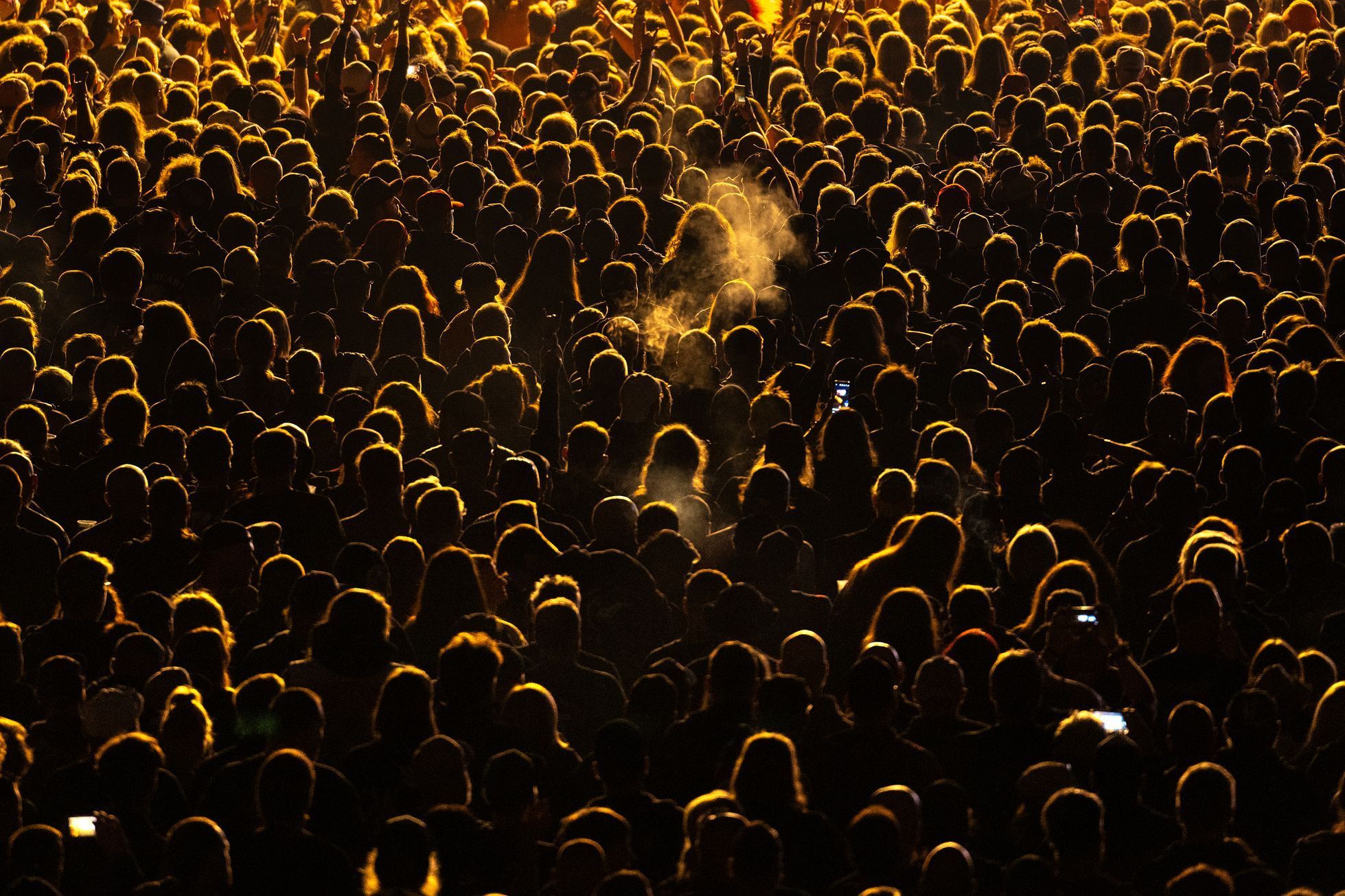 Brutal Assault, 2023