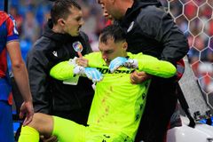 Strach o Jedličku. Plzeňského gólmana odnesli po děsivé ráně do hlavy
