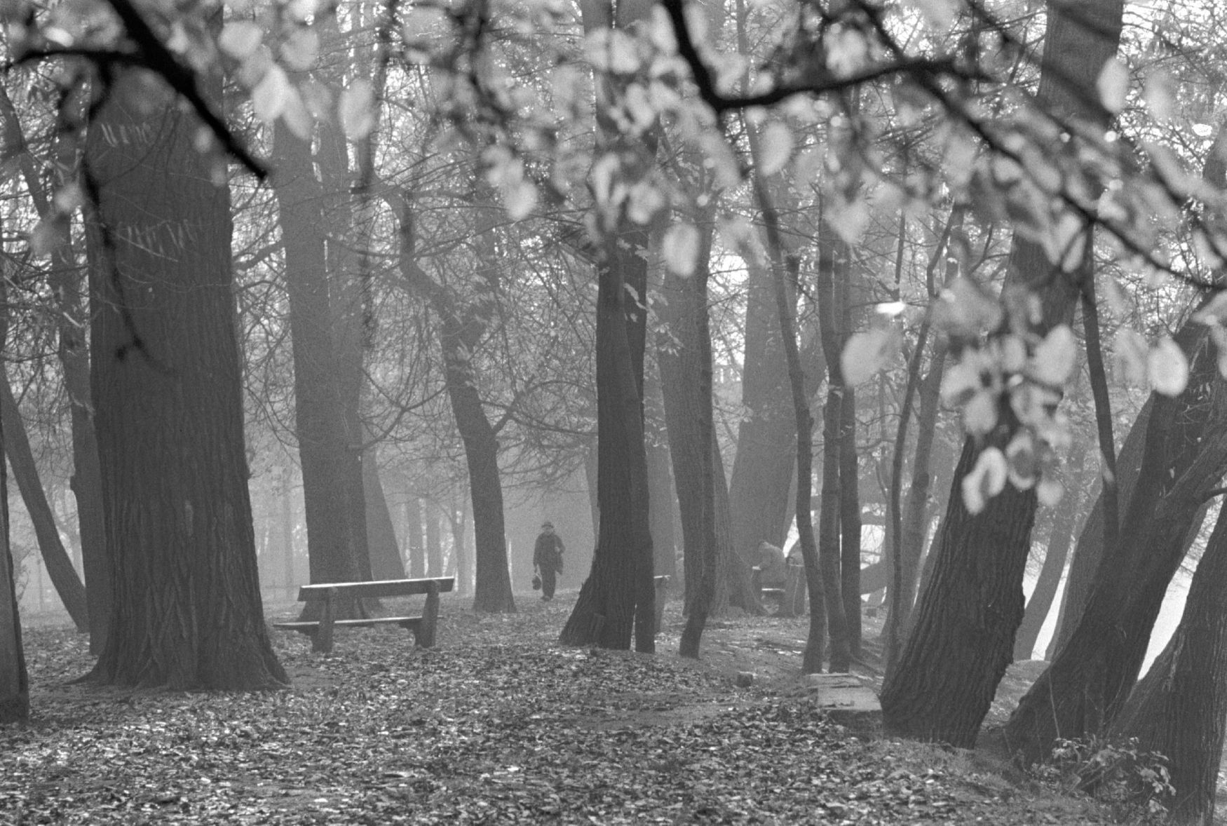 Fotogalerie / Střelecký ostrov / Střelecký ostrov v Praze slaví výročí již 485 let své existence