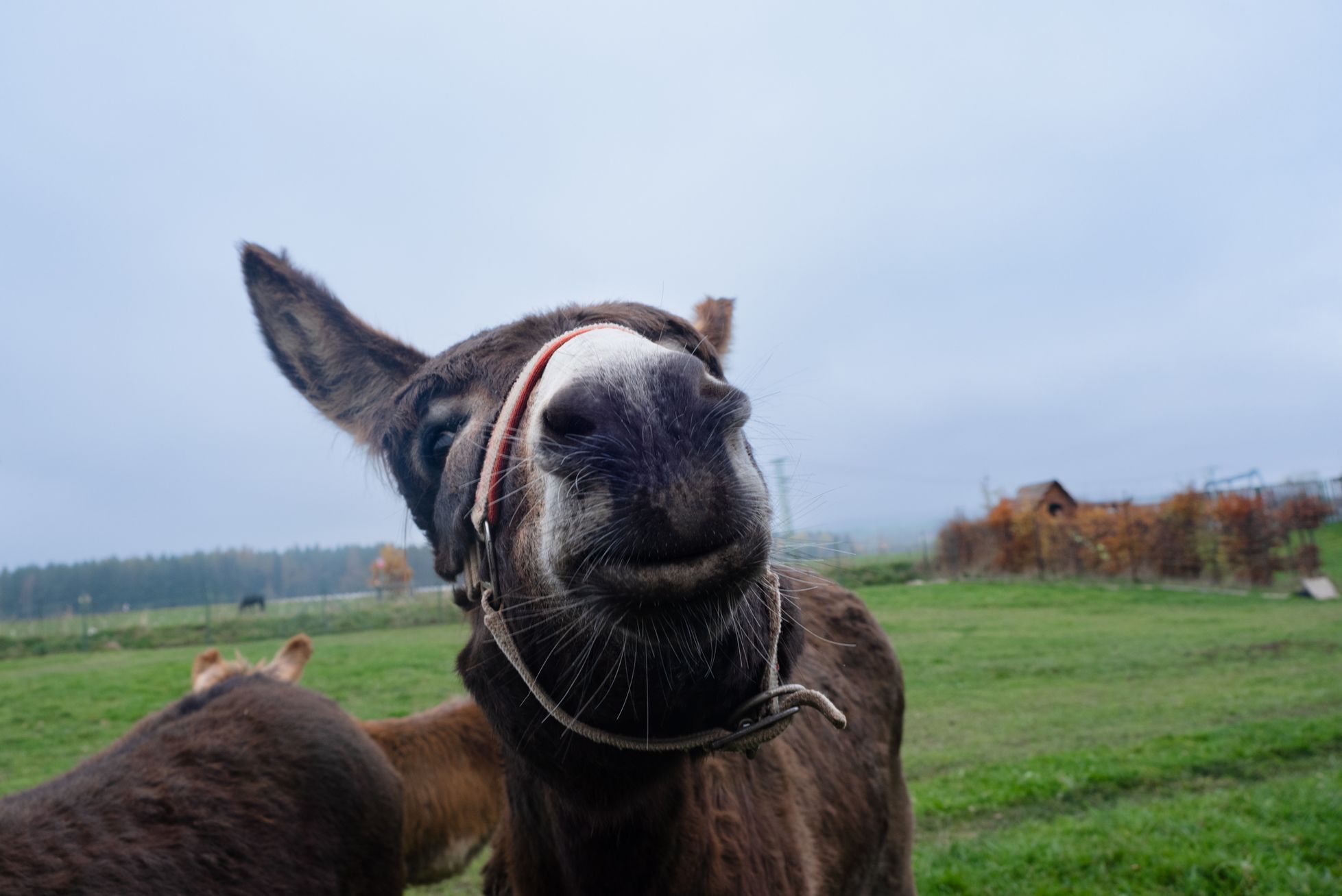 Hornický penzion Brdy
