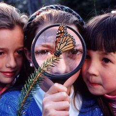 Děti a motýl