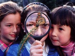 Děti a motýl