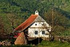 Západ žije na dluh, tvrdí česko-slovenský pár v rumunském Banátu. Buduje tu soběstačnou farmu