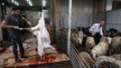 A Palestinian butcher slaughters a sheep on the first day of Eid-al-Adha in the West Bank town of Al-Ram near Jerusalem October 26, 2012. Muslims around the world celebrate Eid al-Adha to mark the end of the Haj by slaughtering sheep, goats, cows and camels to commemorate Prophet Abraham's willingness to sacrifice his son Ismail on God's command. REUTERS/Ammar Awad (WEST BANK - Tags: RELIGION ANIMALS) Published: Říj. 26, 2012, 10:40 dop.