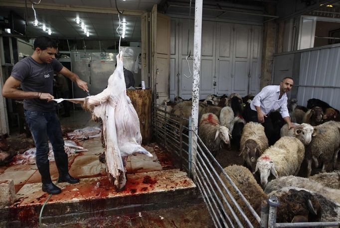 A Palestinian butcher slaughters a sheep on the first day of Eid-al-Adha in the West Bank town of Al-Ram near Jerusalem October 26, 2012. Muslims around the world celebrate Eid al-Adha to mark the end of the Haj by slaughtering sheep, goats, cows and camels to commemorate Prophet Abraham's willingness to sacrifice his son Ismail on God's command. REUTERS/Ammar Awad (WEST BANK - Tags: RELIGION ANIMALS) Published: Říj. 26, 2012, 10:40 dop.