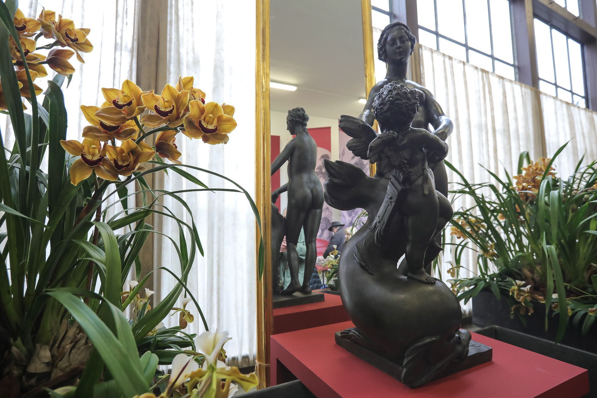 Výstava květin Předjaří, Pražský Hrad