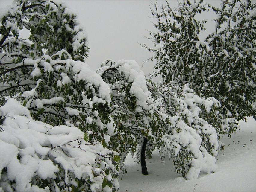 Sněhová nadílka v hrabství Pražmo