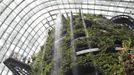 Visitors view waterfalls inside a "cool" conservatory at the Gardens by the Bay in Singapore June 29, 2012. The 101-hectare gardens situated at the heart of Singapore's new downtown at Marina Bay, which have two greenhouses and 220,000 plants from almost every continent, were officially opened by Singapore's Prime Minister Lee Hsien Loong on Thursday. REUTERS/Tim Chong (SINGAPORE - Tags: ENVIRONMENT SOCIETY TRAVEL) Published: Čer. 29, 2012, 8:11 dop.