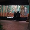 Zoo Praha, nový pavilon goril (Rezervace DJA, gorily a střední Afrika)