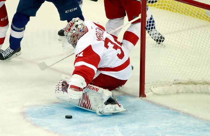 Detroit Red Wings goalie Petr Mrazek (34)