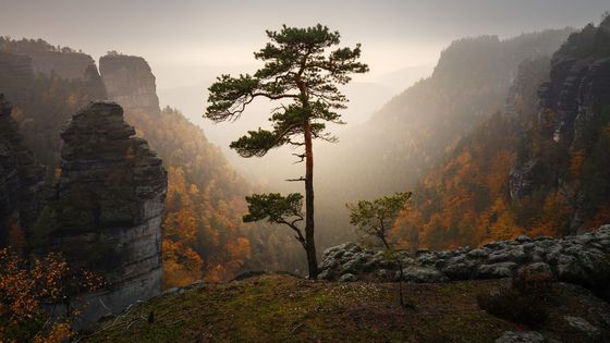 Fotograf má 96 tisíc fanoušků na Instagramu. Dražbou chce pomoci lesům