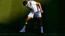 Bulhar Grigor Dimitrov na letošním Wimbledonu.