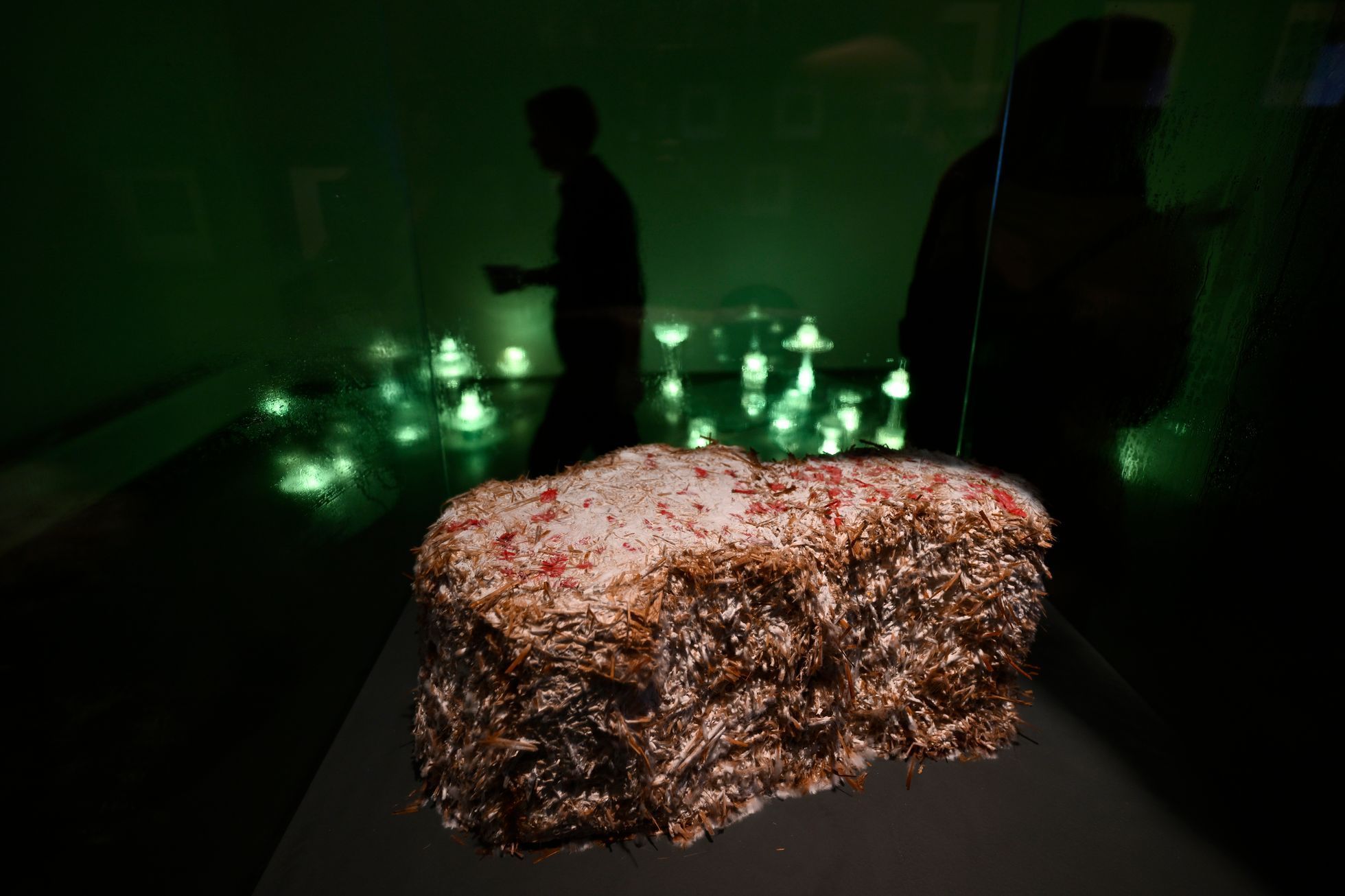 Seno, sláma, skládka, Galerie Václava Špály, 2023