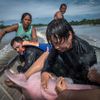 Wildlife Photographer of the Year, nominace na cenu veřejnosti